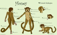 Honey by honeypup - female, reference sheet, fursona, kinkajou, honey