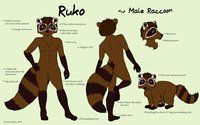 Ruko by honeypup - raccoon, male, reference sheet, ruko