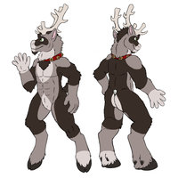 Fall Reference Sheet by Killerwolf1020 - male, reference sheet, reindeer