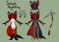 Sareh Nightfire - Refrence by Nightfire - fox, female, red fox, vixen, vulpine, nightfire, sareh nightfire