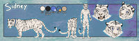 Sidney feral Ref Sheet by SidneyKenson - male, tiger, collar, white tiger