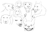 Dogs! by Shokuji - sketch, cute, dogs