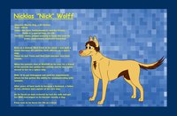 Nick Ref by Kinaj - dog, male, canine, feral, ref sheet, mammal
