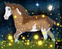 RWS Sheza Heartbreaker by KiyiyaHowlingWolf - horse, stars, fireflies, mare, moonlight