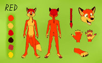 Red reference sheet by RedFokz - red, fox, male