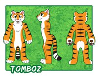 Character reference sheet by RubberAnimations - male, tiger, rubber, sheet, reference, tomboz