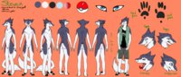 [C] Steven Ref Sheet by enviousDisaster - male, commission, reference sheet, sergal