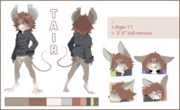 Tai ref comish by kindalucky - female, reference sheet, mouse, pose, emotions