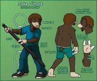 Jake D'mole Ref Sheet 2011 by SlackerJAW - male, jake, stuff, reference, mole