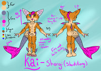 Kai reference sheet by CrystalWolfDarkness - male, hybrid, corgi, shark, femboy, shorgi, shargi