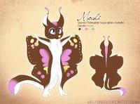 Mochi by honeypup - female, hybrid, butterfly, refsheet, mochi, sugarglider, flutterglider, fantasyanimal