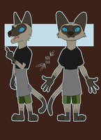 Siamese Cat guy by nouvua - male, character sheet, siamese cat, nouvua