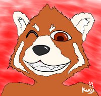 Dat Grin by Shokuji - red panda, male, winking, grinning, toothy grin