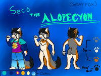 Seco the Alopecyon Ref (Gray Fox) by Foxboy591 - male, reference sheet, fox hybrid, gray fox, urocyon cinereoargenteus