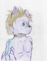 My OC E-dawg by FennecButt32 - wolf, male, portrait, colored pencil, young teen