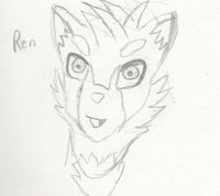 Ren the Red Panda by Aquazero - sketch, red panda, male, wip, character, information