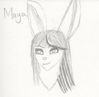 Maya the Rabbit by Aquazero - female, rabbit, wip, character, information