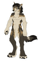 My Big Wolf by nh63879 - wolf, male, macro, christian