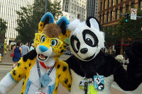 My first Anthrocon experience. by pandapaco
