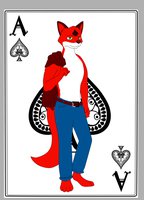 Ace the fox by guillover45 - fox, male