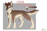 Mara ref by VJCoon - mara, female, wolf, reference sheet, canine, feral, markings, colors, character, lycan, ref, reference, jonah, base, mako