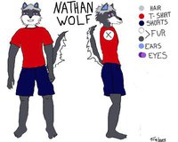 Nathan's ref sheet by TicklishWolf - wolf, male, bisexual, anthro, tickling, ref sheet