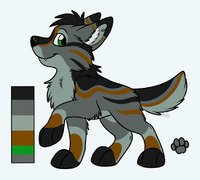 Seiryu Reference Sheet by Takum - cute, wolf, male, reference sheet, feral, seiryu