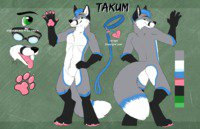 Takum V2 Reference Sheet by Takum - cute, male, reference sheet, leash, collar, goggles, gray fox, takum