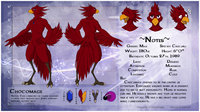 [CM - Chocomage] Detailed Character Sheet by Ceowolf - wolf, male, bird, clean, avian, photoshop, feathers, drawing, beak, anthropomorphic, digital art, chocobo, gem, sfw, ceowolf evandean, cursed wolf commissions, detailed character sheet, chocomage