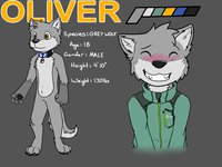 Oli's Ref Sheet! by Asurium - cute, wolf, male, oliver, oli, asurium