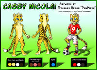 Comm: Casey Character sheet by PenMark - male, reference sheet, character sheet, commissions, sports, cheetah, soccer, sfw, referencesheet, character design, clean art, soccer ball, clean artist