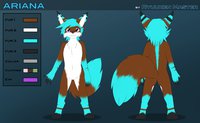 Ariana's Ref Sheet by Floofy - fox, female