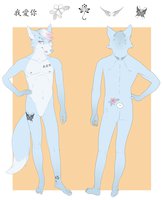 Aaron Character ref by Snofu - fox, male, blue, vulpine