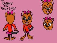 Tammy the Yorkie Silky Reference Sheet by TonyYorkieSilky1991 - dog, female, reference sheet, yorkie