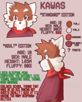 KAWAS REF SHEET by SuperKawaS - red panda, male