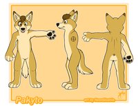 My Character Sheet ! by Pakyto - dingo, sheet, ref, pakyto