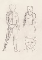 Eaia Khir - Character Concept Sheet by Ayer - lioness, female, lion, character sheet, clean, cybernetics, aslan, traveller