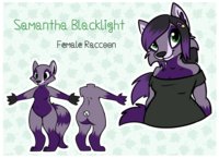 (sashimineko) Samantha Blacklight (ref) by honeypup - female, raccoon, ref sheet, reference, blacklight, samantha