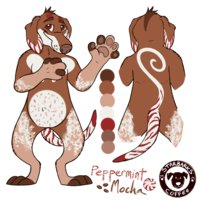 Peppermint Mocha by honeypup - dog, male, canine, ref sheet, reference, dachshund, peppermint mocha