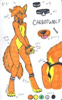 Sketchbook Reference by Ajna by CarrotWolf - butt, wolf, male, reference sheet, canine, girly, reference, femboy, sketchbook, sfw, carrotwolf, orange wolf