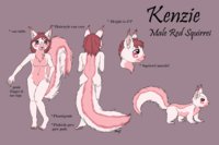 Kenzie by honeypup - male, squirrel, ref sheet, reference, red squirrel, kenzie