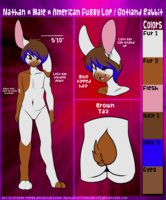 Nathan Reference by Freezepop88 - male, rabbit, anthro, furry, character, oc, fursona, rodent, original character, lop eared bunny, gotland, originalcharacter, american fuzzy lop