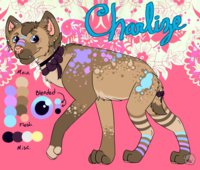 Charlize by honeypup - female, sparkle, hyena, feral, spotted hyena, ref sheet, reference, laughing hyena, charlize