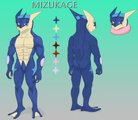 Mizukage Reference Sheet by MizukageArt - male, reference sheet, pokemon, reference, greninja