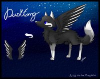 Duskfang's Feral and Anthro Reference Sheets by Duskfang - winged wolf, male solo