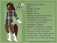 Thunder Equus Reference 2011 by ThunderEquus - girl, female, horse, equine, ref, reference, character-sheet