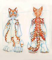 Zetta revamp by ZettaTiger - tiger, reference, big cat, concept, character design, male/solo