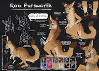 Roo Fursworth 2016 by Wulfgecko by RooFursworth - male, reference sheet, kangaroo, ref sheet, reference