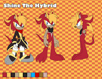 Shine ref by Shineomnimon - dragon, shine, hedgehog, reference