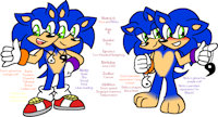 Sora and Nicky Ref '16 by HeartinaRosebud - boy, male, hedgehog, multifurry, siamese twins, sonic the hedgehog, conjoinment, alternate universe, redesign, two heads, multifur, multihead, two-headed, twin brothers, conjoined twins